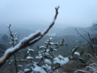 龙泉山雪
