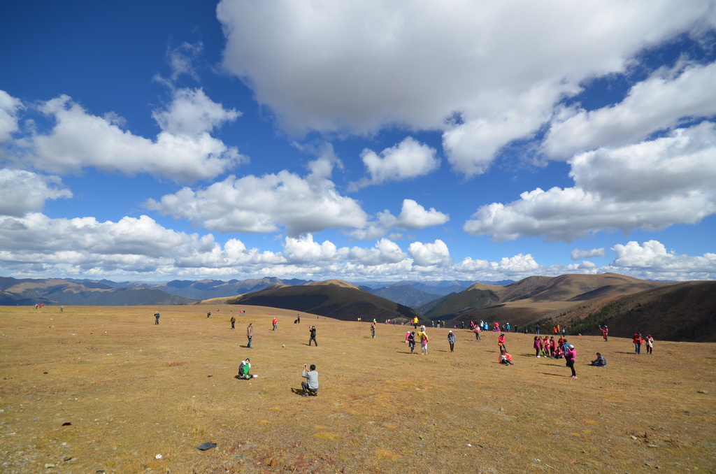 《大山在呼唤》蒋任华摄于四川西南边缘，甘孜藏自治州南部拆多山。是中国目前保存最完.jpg