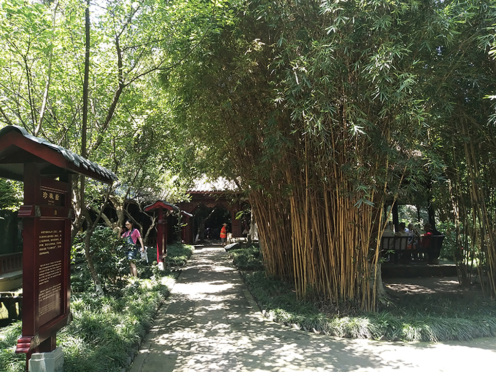 图为东湖公园内的竹文化景观。竹始终贯穿西蜀园林发展的始末，被文人钟爱并广泛栽植于园林。.jpg