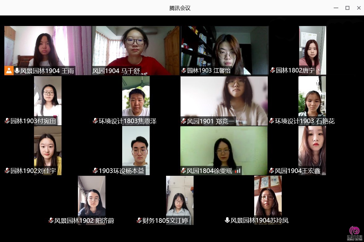 01 团队成员正在进行视频会议。四川文化网通讯员 王雨 供图.jpg