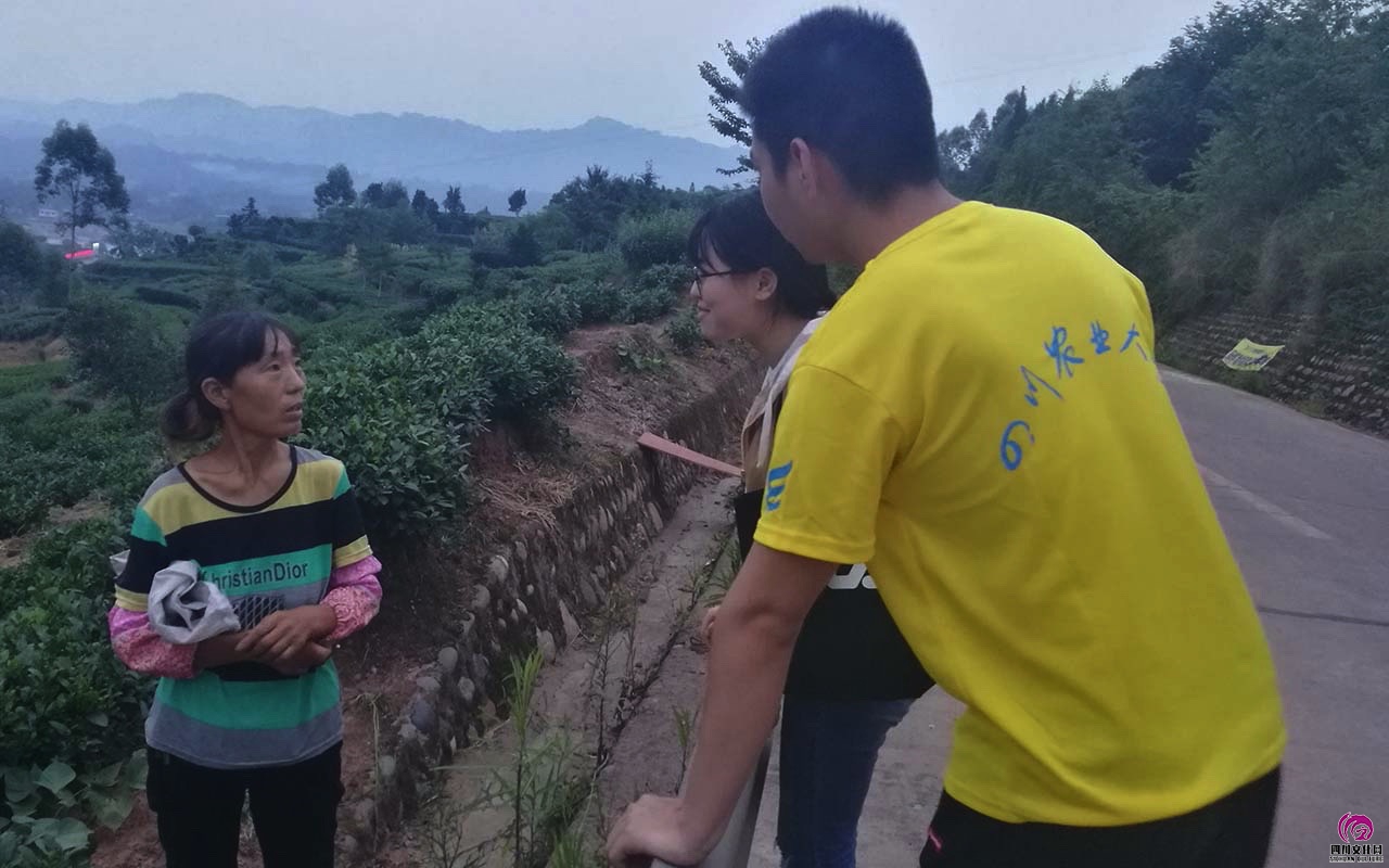 茶益行团队人员在马边县当地考察环境，询问当地人民