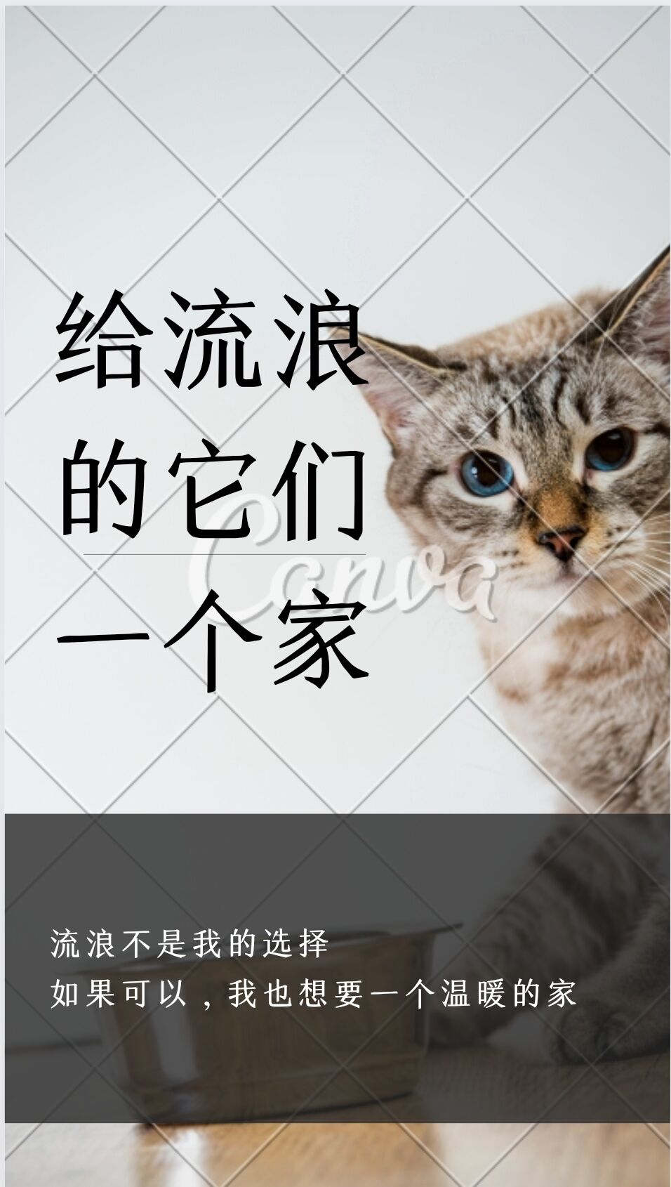 02图为团队成员制作的宣传海报 团队成员 赵鹏宇供图.jpg
