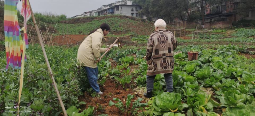 图为团队成员帮助农民耕种 通讯员 夏梓琳 提供