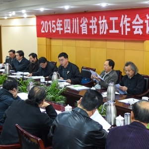 四川省书法家协会召开2015年度工作会议