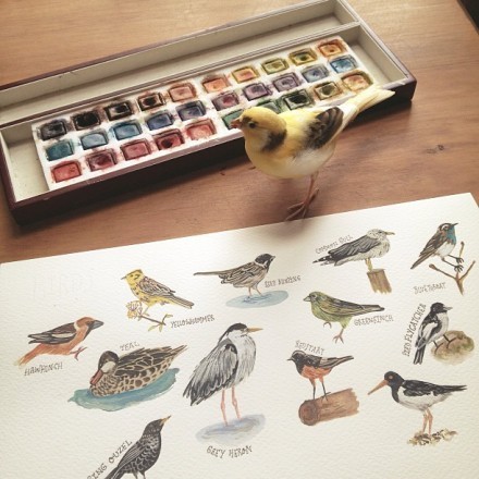 你在画中，亦在我身旁；静静地看，温暖的陪伴。 小鸟Ernes和画鸟人Polly Fern Sergeant 。