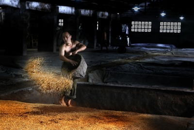 刘晓明摄影作品：劳动的舞韵