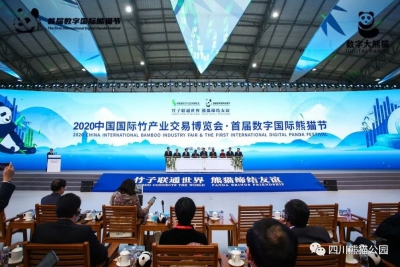 首届数字国际熊猫节开幕