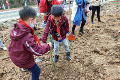 同心童行，一麓种下幸福树——2021年一麓童行国际文化志愿者植树节特别活动