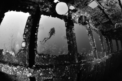 第18届世界水下摄影锦标赛落幕，获奖作品公布