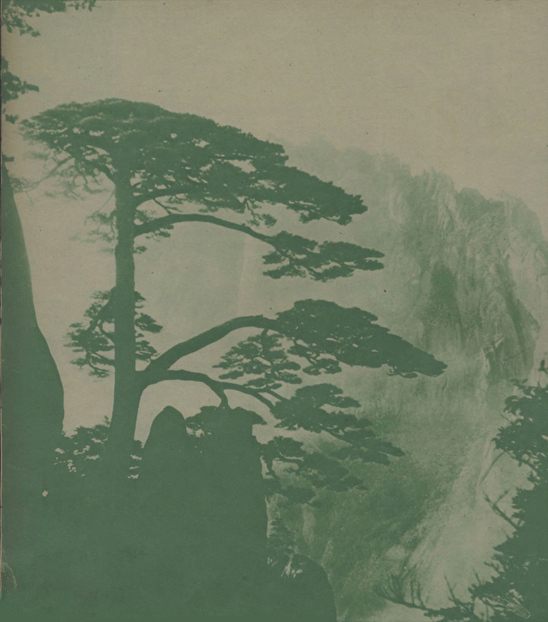 图2.3：马国亮《黄山松景》刊于1934年第91期《良友》