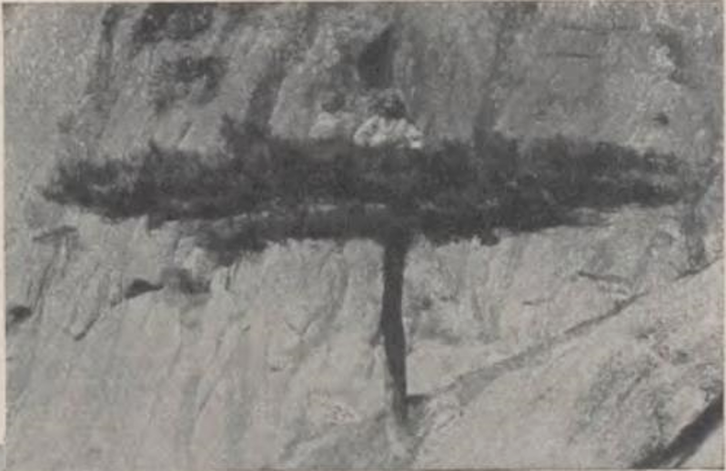 图6.1：《蒲团松上入定僧人》 徐穆如 刊于《柯达杂志》1935 年第6卷 第3期