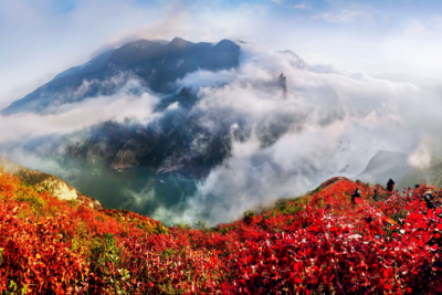冬游三峡，与“杜子美”共同开启重庆巫山红叶之旅